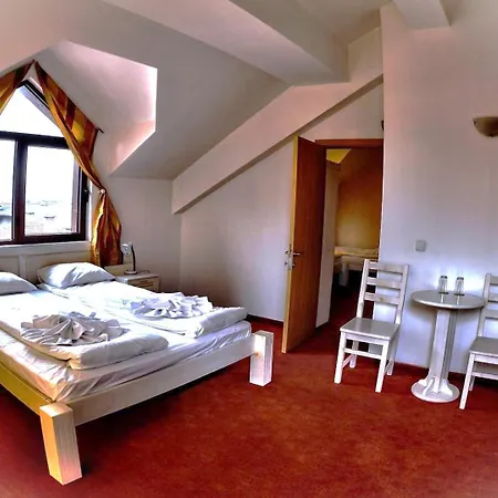 Anex 招待所 班斯科