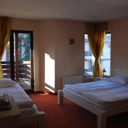 Anex 招待所 班斯科